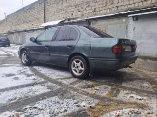 Nissan Primera foto 4