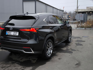 Lexus NX Series foto 7