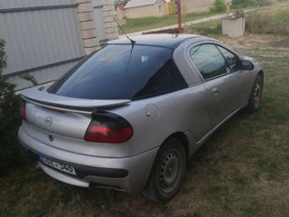 Opel Tigra foto 2