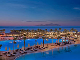 Sharm el Sheikh! Sultan Gardens Resort 5*! Din 25.05 - 6 nopti!