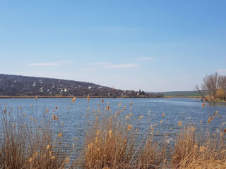 Teren pomicol (8 ari la 11 km de la Chisinau), zona ecologica (langa lac si padure) lacul Maximovca