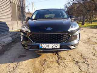 Ford Kuga foto 6