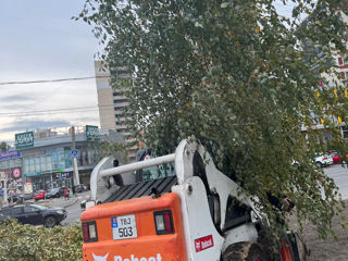 Curățarea Terenurilor!Evacuarea deșeurilor! foto 2