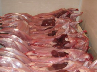 Мясо кролика свежее или замороженное. Carne de iepur. тушка весит 1,4-2,0 кг. foto 1