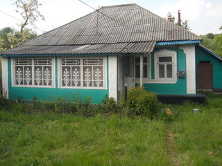 Срочно продаем или меняем дом с супер природой на 1комнатную квартиру в Кишиневе. foto 5