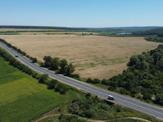 Teren agricol, 51 ar, Ivancea foto 2