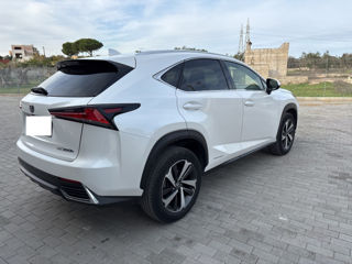 Lexus NX Series foto 3