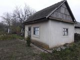 Продается дом 20 соток, в центре села Кошница. foto 3