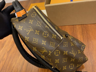 Louis Vuitton foto 4