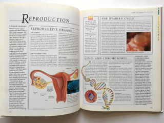 Woman's Body a Manual for Life by Dr Miriam Stoppard, în stare foarte bună foto 8