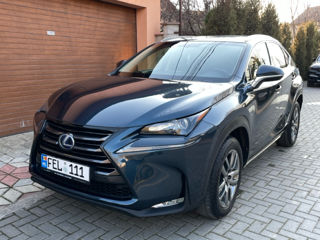 Lexus NX Series