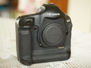 Canon EOS 1 D MARK III Body - 550 euro foto 1