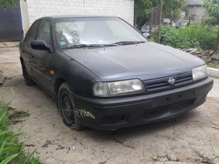 Nissan Primera foto 2