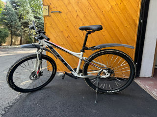 Vind bicicleta Bulls Raptor