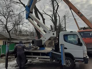 Chirie Autoturn ! Taierea copacilor in toata Moldova ! foto 9