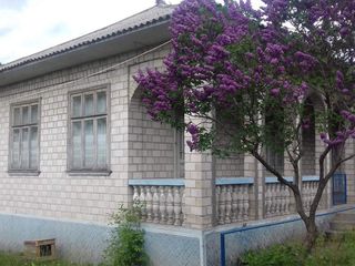 Urgent !!! Se vinde casa  cu sarai in satul Chetrosu, r-nul Drochia , pe linga casa sunt 40 soci. foto 1