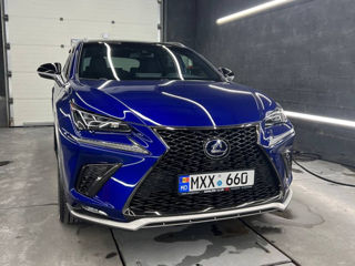 Lexus NX Series