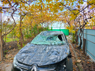 Renault Megane foto 3