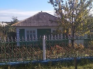 Urgent !!!!Se vinde casa pe pămînt în orașul Drochia foto 3