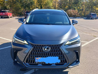 Lexus NX Series, 2022 