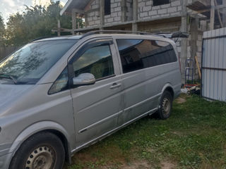 Mercedes Viano foto 8