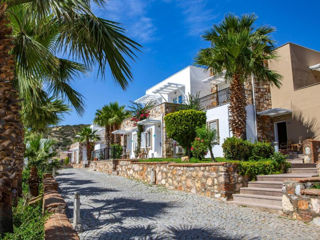 Turkey! "Tui Magic Life Bodrum" 5* - Adults Only! С 06.07! foto 4