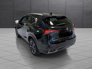 Lexus NX Series foto 3