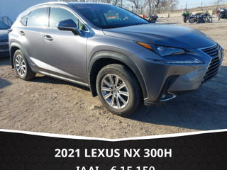 Lexus NX Series foto 4