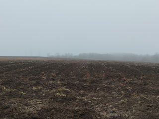 Ghidighici terenuri agricole foto 2