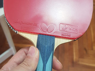 Butterflay Timo Boll AlC foto 7