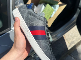 Gucci Sneackers