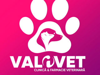 Clinică Farmacie Veterinară "Valivet" foto 1