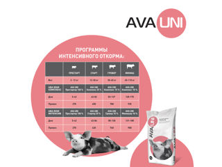 SPMV pentru porci AVA UNI Complex (Start 25%, Grover 15%, Finiș 10%). 25kg foto 9