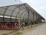 быстро-возводимая животноводческая ферма, легко-разборный ангар для сельхозпродукции, лёгкий склад foto 2
