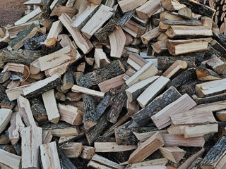 Vindem lemn de foc speci tari stejar carpan frasen (salchin) si lemn moale metre si despicate foto 4