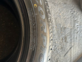 255/50 R20 pireli anu 2022 foto 5