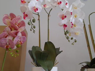 Decor-flori artificiale și vaze  foto 7