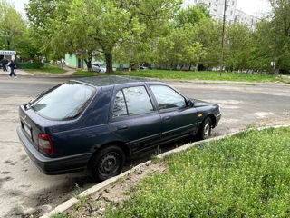 Nissan Sunny foto 3