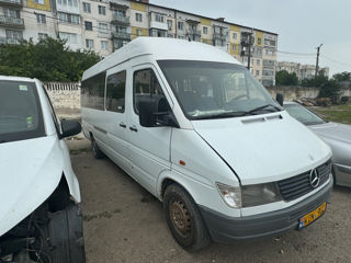 Mercedes Sprinter 312 foto 3