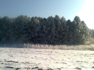 Vagon cu sector linga padure,linga traseul Chisinau-Orhei. foto 3