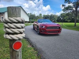 Ford Mustang foto 6