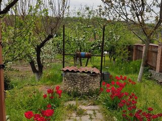 Vînd casă, raionul Ialoveni, s.Pojăreni foto 6