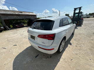 Audi Q5 foto 3