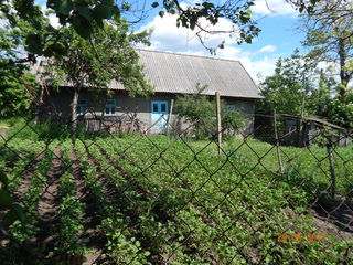 Urgent!Se vinde casă în satul Doroțcaia,rn.Dubăsari cu 4500 Euro.Pentru cumpărător real negociem! foto 1