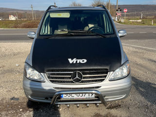 Mercedes Viano foto 3