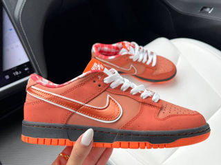 Nike SB Dunk Lobsters Orange Unisex 36-45 foto 1