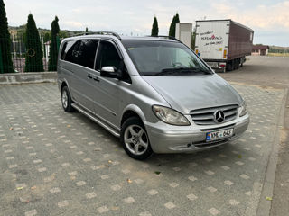 Mercedes Viano