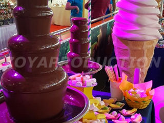 Шоколадный фонтан - Оригинальный Бельгийский Шоколад. Belcolade. Сухой Лёд. Пищевой foto 1