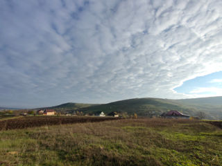 Lot de teren in satul Vasieni (raionul Ialoveni) foto 1