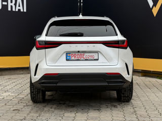 Lexus NX Series foto 10